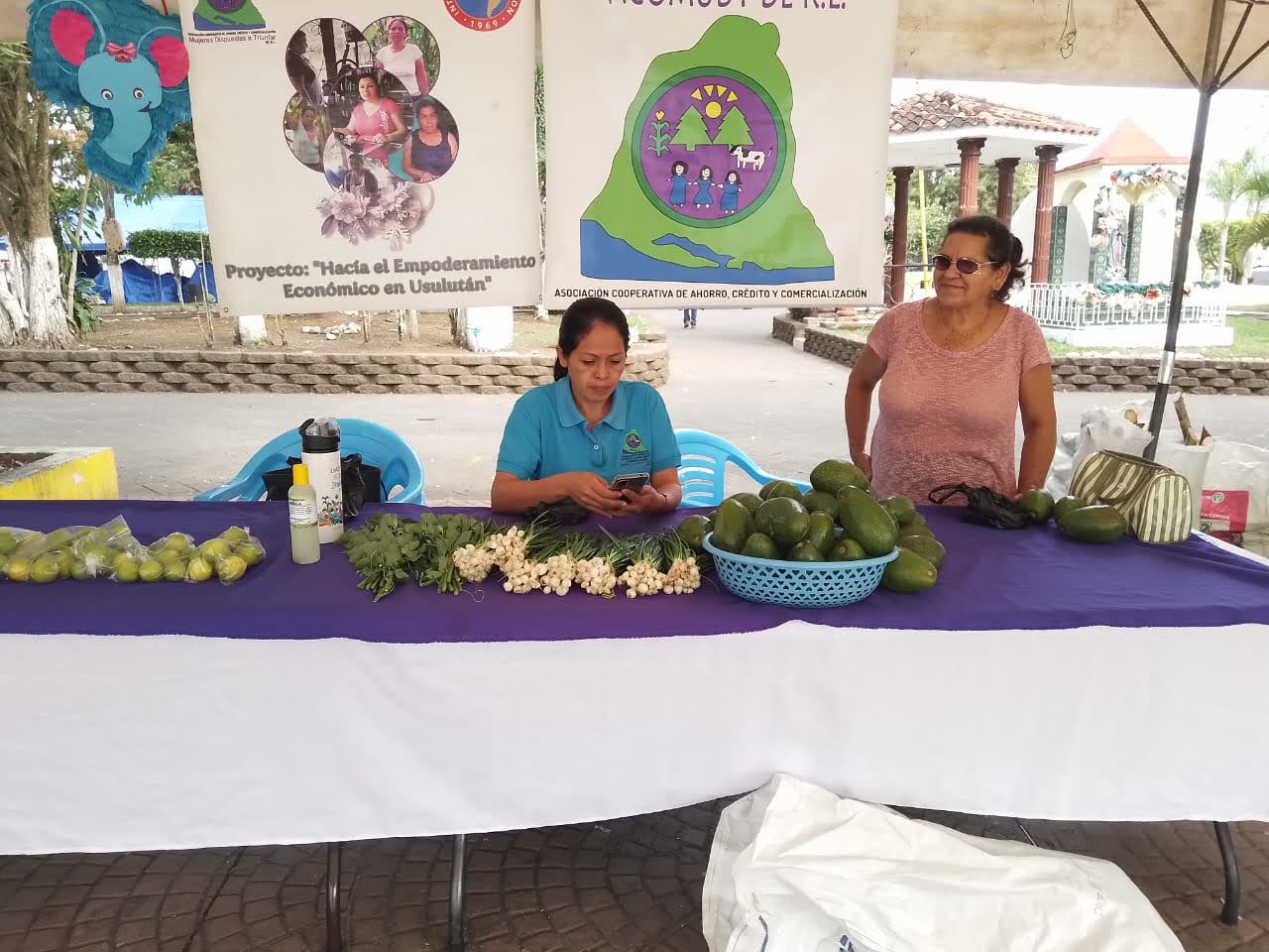 Continuamos con los Mercaditos solidarios Agroecológicos 